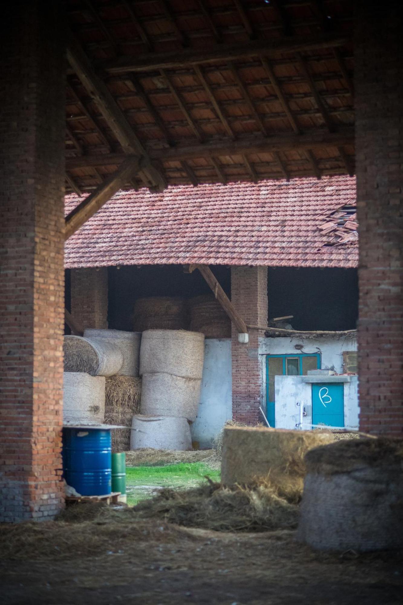 Agriturismo Beatilla Marmirolo エクステリア 写真