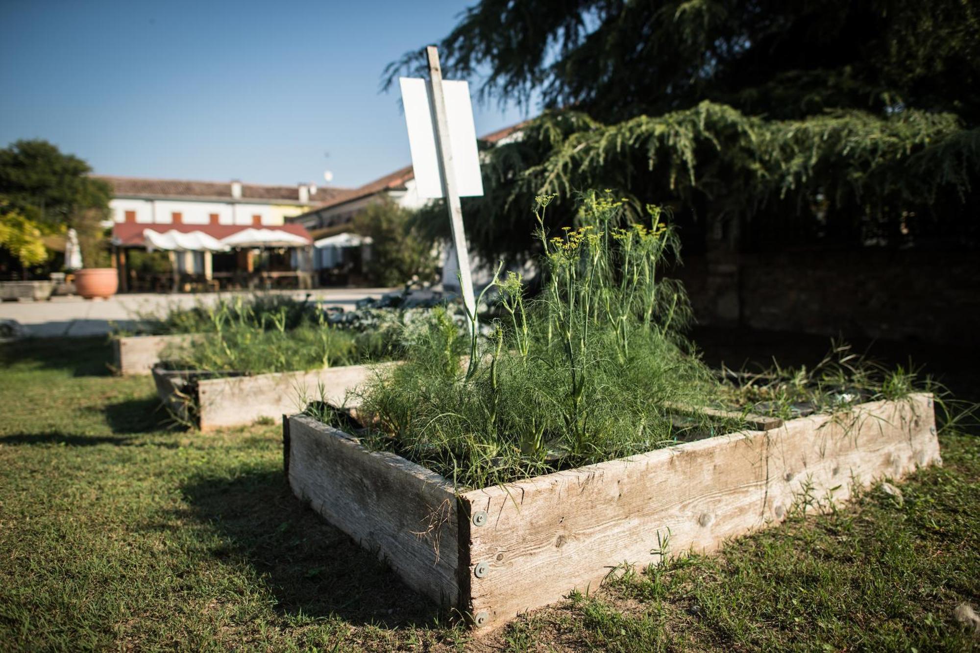 Agriturismo Beatilla Marmirolo エクステリア 写真