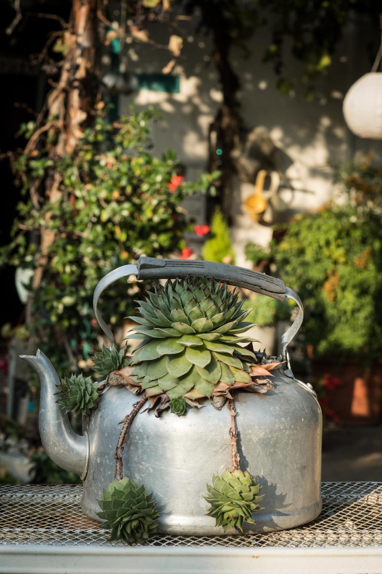 Agriturismo Beatilla Marmirolo エクステリア 写真