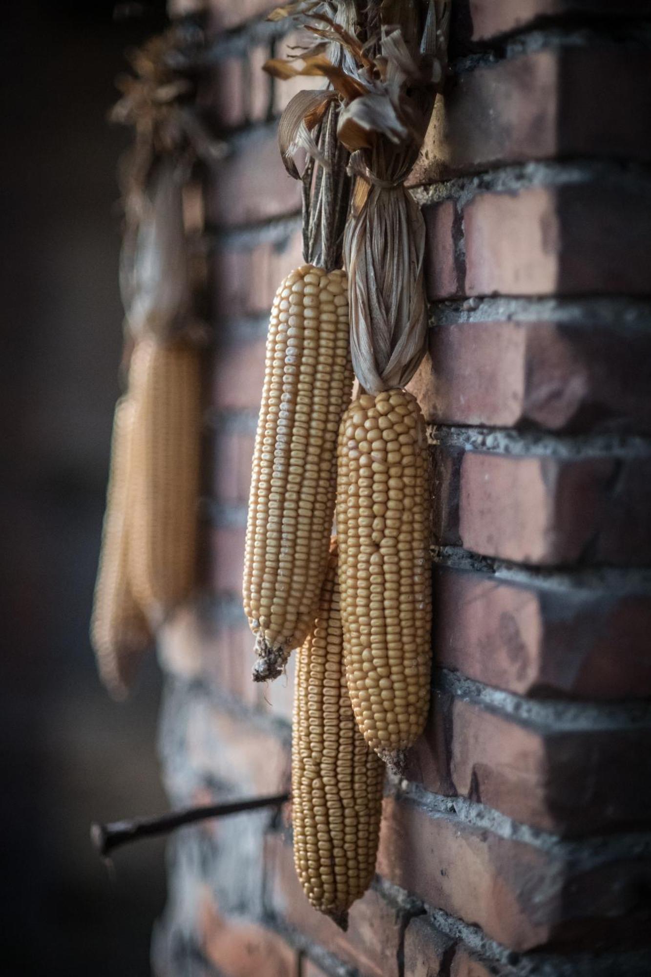 Agriturismo Beatilla Marmirolo エクステリア 写真