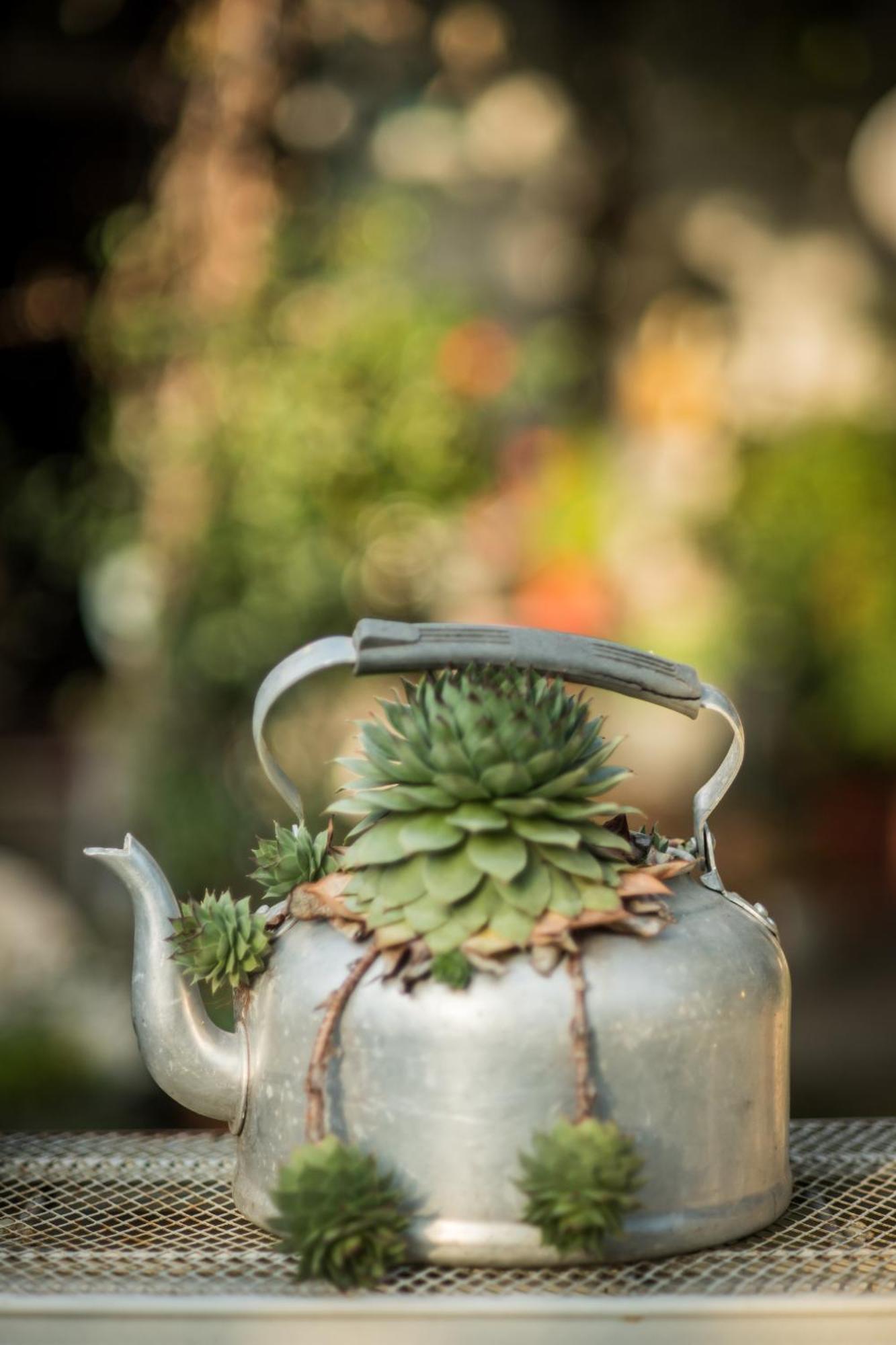 Agriturismo Beatilla Marmirolo エクステリア 写真